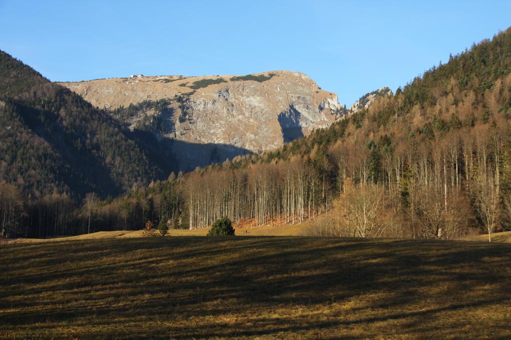 Haus Seeschwalbe Saint Wolfgang Dış mekan fotoğraf